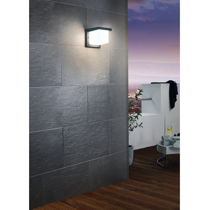 Eglo 65046 - Aplique LED para exterior DESELLA PRO LED/10W/230V IP54 antracita