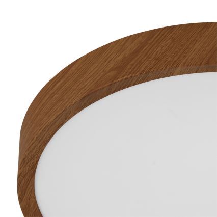 Eglo - Lámpara de techo LED LED/14,6W/230V