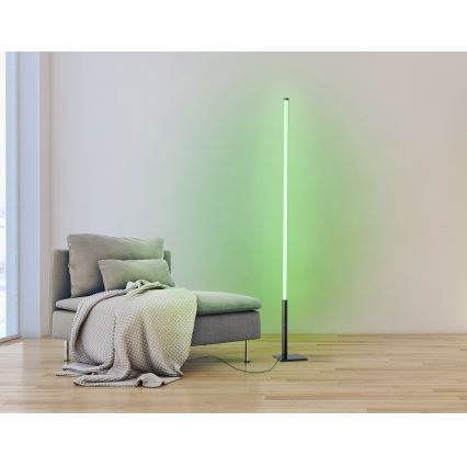 Eglo - Lámpara de pie LED RGB regulable LED/13,5W/230V 2700-6500K + mando a distancia