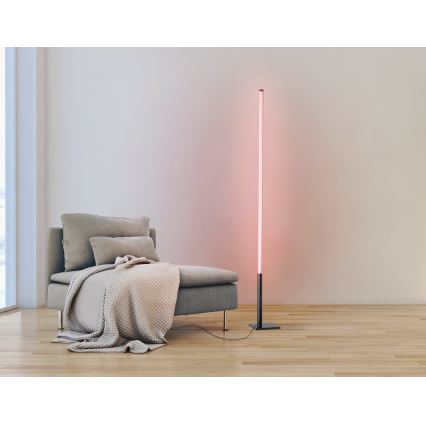 Eglo - Lámpara de pie LED RGB regulable LED/13,5W/230V 2700-6500K + mando a distancia