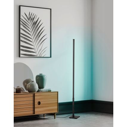 Eglo - Lámpara de pie LED RGB regulable LED/13,5W/230V 2700-6500K + mando a distancia