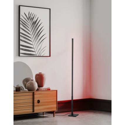 Eglo - Lámpara de pie LED RGB regulable LED/13,5W/230V 2700-6500K + mando a distancia