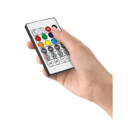 Eglo - Lámpara de pie LED RGB regulable LED/13,5W/230V 2700-6500K + mando a distancia