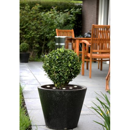 Eglo - Cadena decorativa LED para exterior SPINETOLI 6xLED IP65