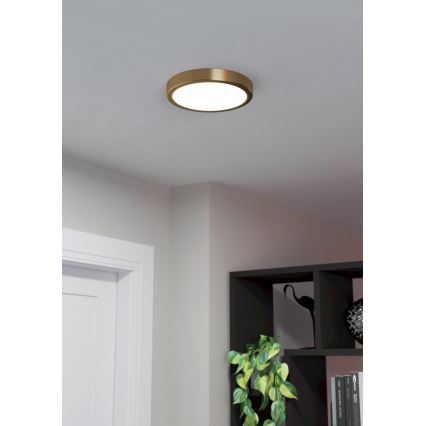 Eglo - Plafón LED LED/17W/230V diá. 21 cm