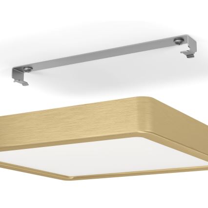 Eglo - Lámpara de techo LED LED/17W/230V
