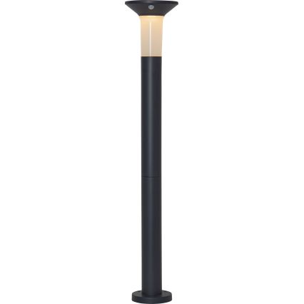 Eglo - Lámpara solar exterior LED con sensor 6xLED/0,03W/3,7V 1500 mAh IP44