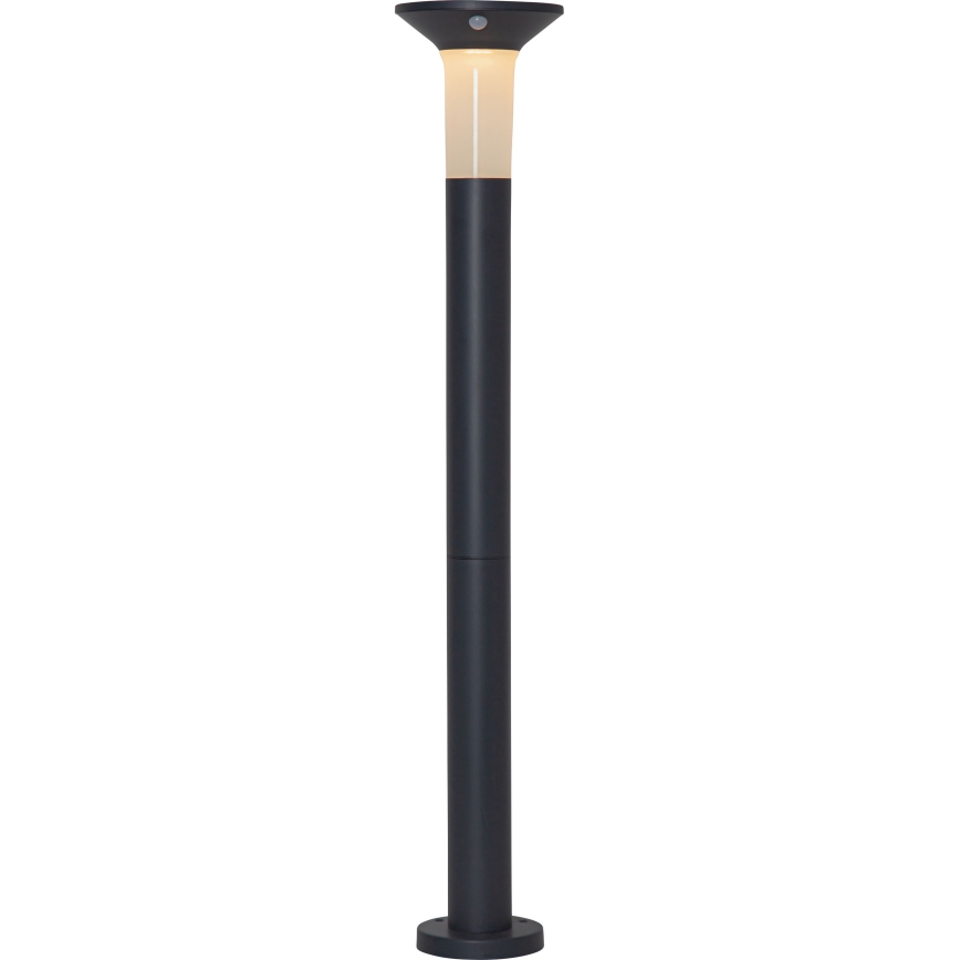 Eglo - Lámpara solar exterior LED con sensor 6xLED/0,03W/3,7V 1500 mAh IP44