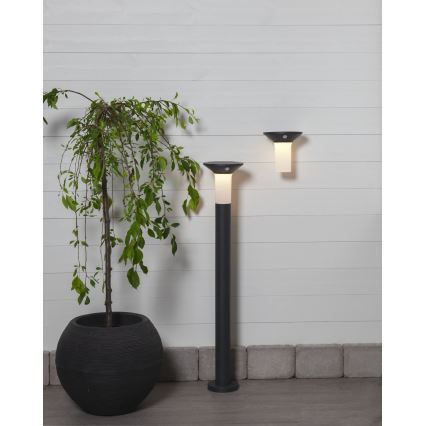 Eglo - Lámpara solar exterior LED con sensor 6xLED/0,03W/3,7V 1500 mAh IP44