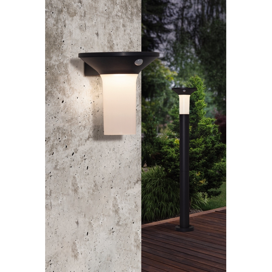 Eglo - Lámpara solar exterior LED con sensor 6xLED/0,03W/3,7V 1500 mAh IP44