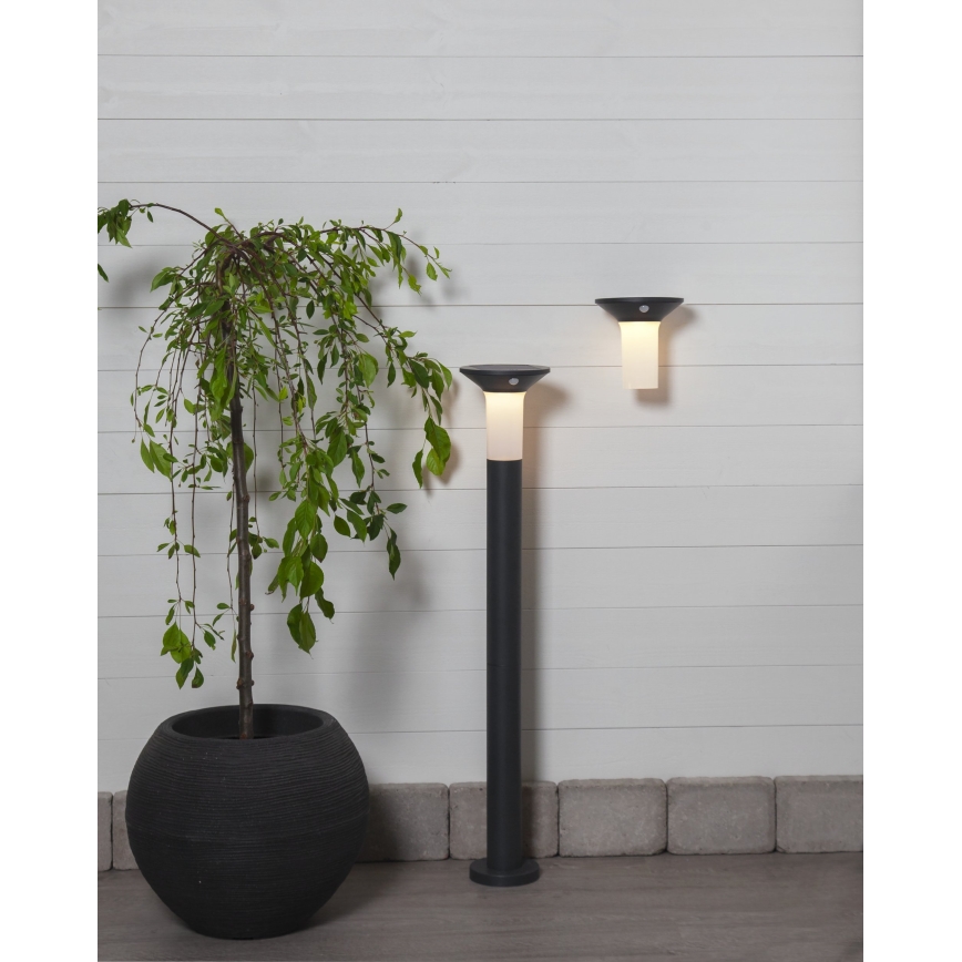 Eglo - Lámpara solar LED para exterior con sensor 6xLED/0,03W/3,7V 1500 mAh IP44