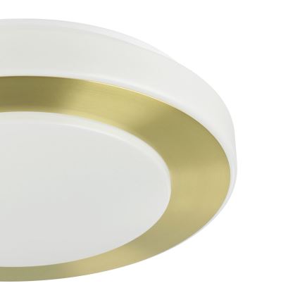 Eglo - Lámpara de techo LED para baño LED/10,8W/230V IP44