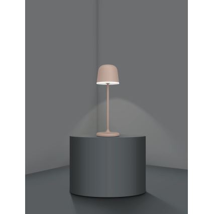 Eglo - LED Regulable exterior Recargable lámpara LED/2,2W/5V 1800mAh marrón IP54