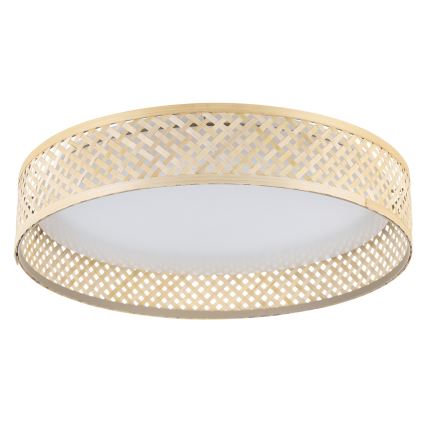 Eglo - Plafón LED LED/24W/230V