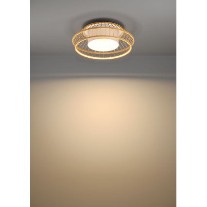 Eglo - Plafón LED RGBW regulable LED/22W/230V 2700-6500K