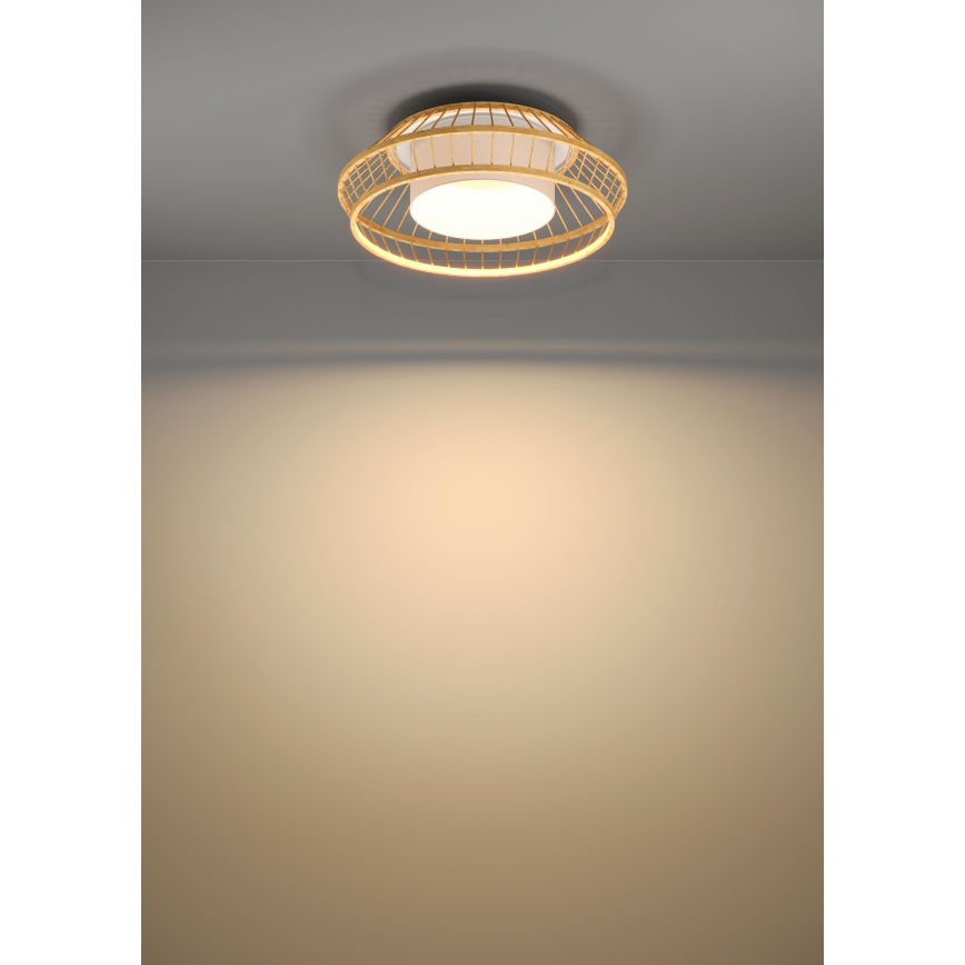 Eglo - Plafón LED RGBW regulable LED/22W/230V 2700-6500K