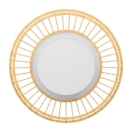 Eglo - Plafón LED RGBW regulable LED/22W/230V 2700-6500K