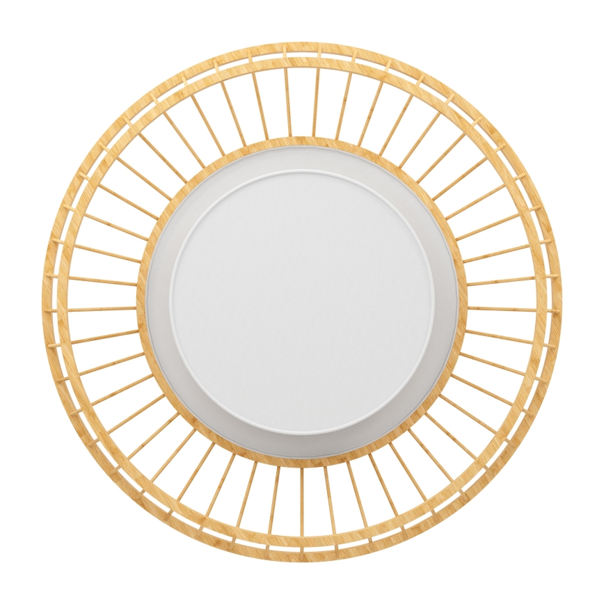 Eglo - Plafón LED RGBW regulable LED/22W/230V 2700-6500K