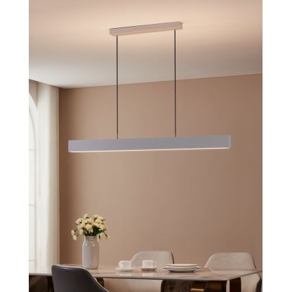 Eglo - LED RGBW Lámpara colgante regulable LED/38W/230V 2700-6500K blanco