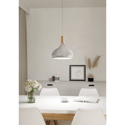 Eglo - Lámpara colgante 1xE27/60W/230V diá. 28 cm plata