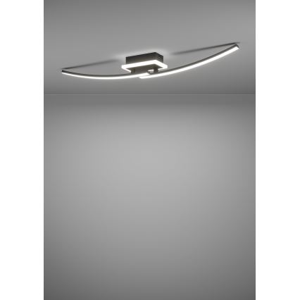 Eglo - Plafón LED LED/12W/230V 4000K negro