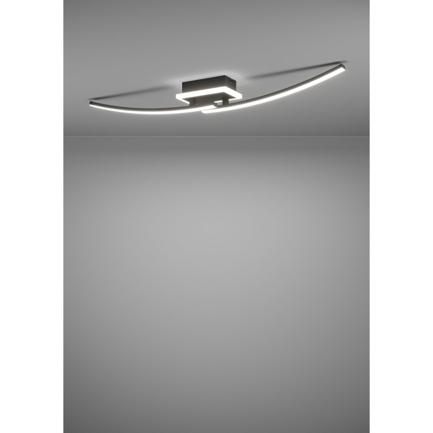 Eglo - Plafón LED LED/12W/230V 4000K negro