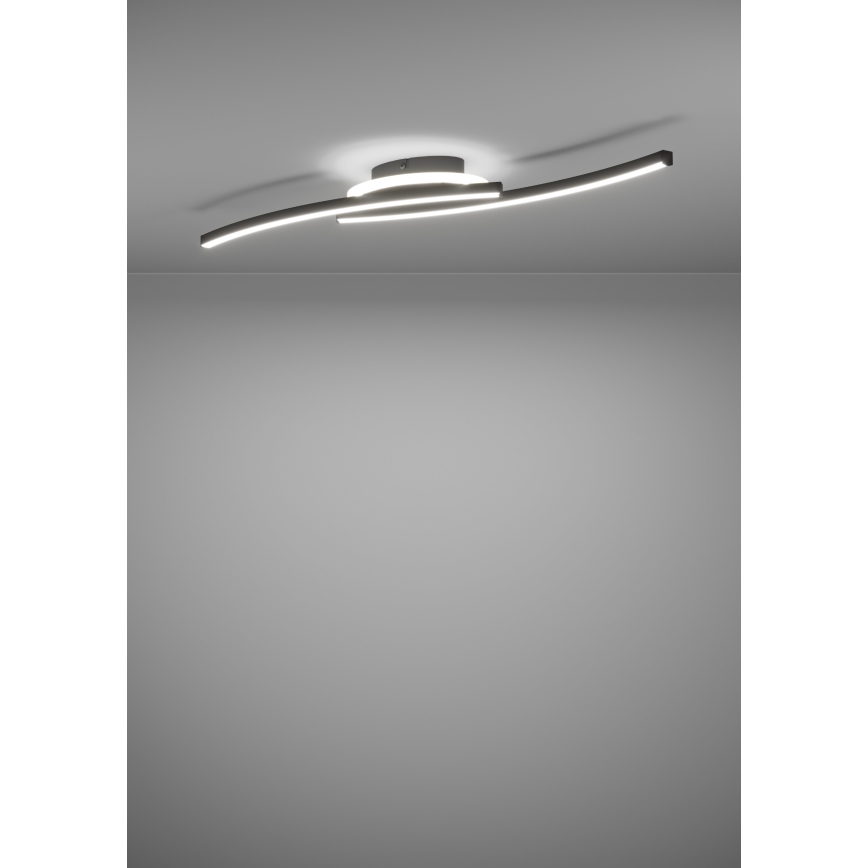 Eglo - Plafón LED LED/12W/230V 4000K negro
