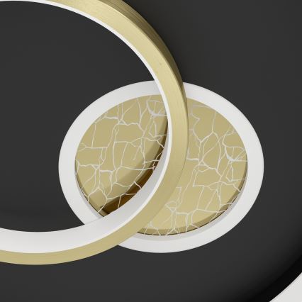 Eglo - Lámpara de techo LED/14W/230V + LED/8,5W Ø 38 cm negra/dorada