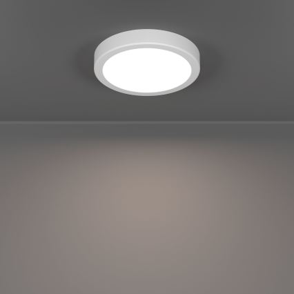 Eglo - Lámpara de techo LED/7,5W/230V 2700/4000/6500K Ø 16,6 cm blanca