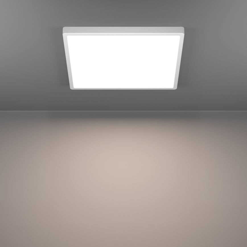 Eglo - LED Luminaria de techo LED/17,5W/230V 2700/4000/6500K 39x39 cm blanca