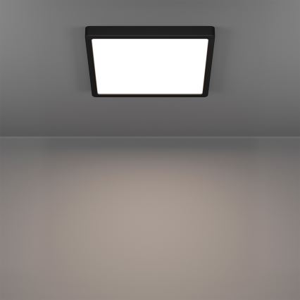 Eglo - Plafón de techo para baño LED RGBW regulable LED/13,5W/230V 2700-6500K 29,5x29,5 cm IP44 negro