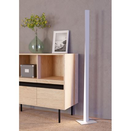 Eglo - Lámpara de pie regulable LED RGBW, LED/10,5W/230V + LED/15,2W, gris