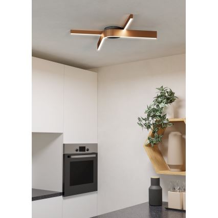 Eglo - Luminaria de techo LED RGBW regulable 2xLED/18W/230V 2700-6500K cobre/negro