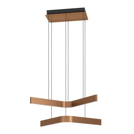 Eglo - Lámpara colgante regulable LED RGBW con cable 2xLED/18W/230V cobre/negro