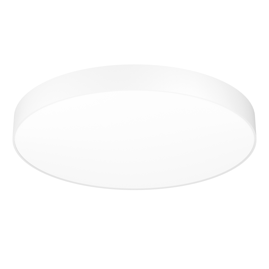 Eglo - Lámpara de techo LED RGBW regulable LED/36,5W/230V 2700-6500K Ø 69 cm blanco