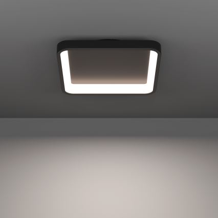 Eglo - Plafón LED RGBW regulable LED/20W/230V 2700-6500K 35x35 cm negro