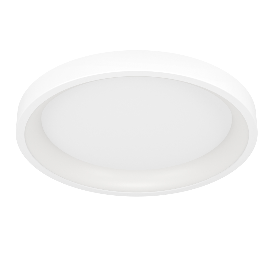 Eglo - LED RGBW Luminaria de techo regulable LED/19,6W/230V 2700-6500K Ø 35 cm blanca