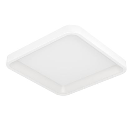 Eglo - LED RGBW Luminaria de techo regulable LED/20W/230V 2700-6500K 35x35 cm blanca