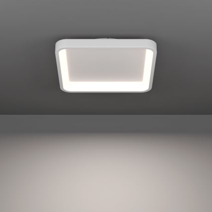 Eglo - LED RGBW Luminaria de techo regulable LED/20W/230V 2700-6500K 35x35 cm blanca