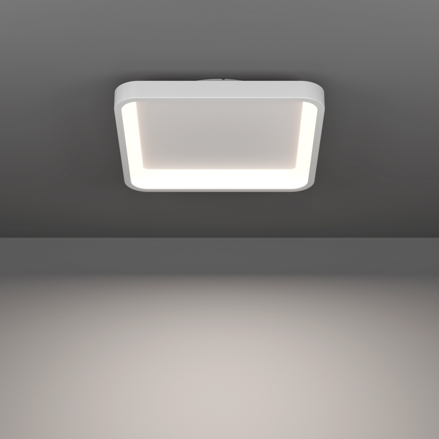 Eglo - LED RGBW Luminaria de techo regulable LED/20W/230V 2700-6500K 35x35 cm blanca