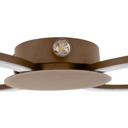 Eglo - Aplique de pared LED/20W/230V + LED/0,91W beige