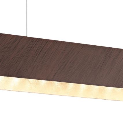 Eglo 93347 -  Lámpara colgante COLLADA 2xLED/6W/230V