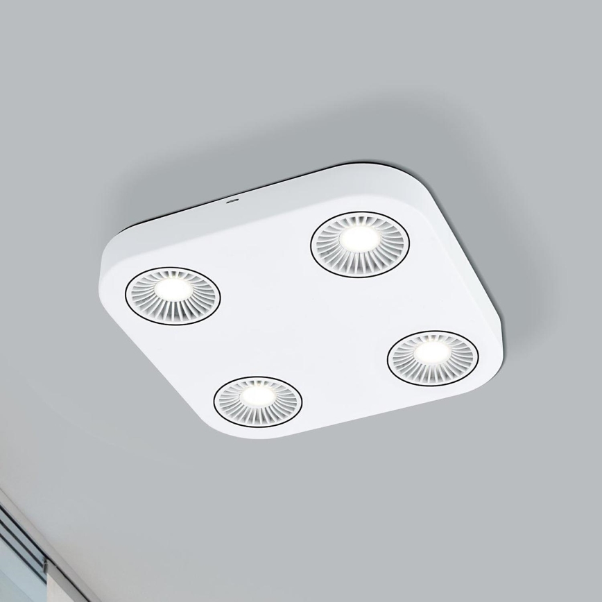 Eglo 94178 - LED Foco MONTALE 4xLED/5,4W/230V