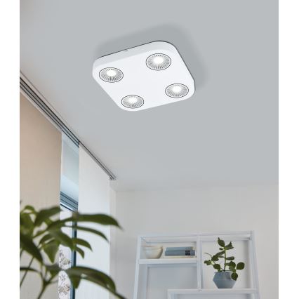 Eglo 94178 - LED Foco MONTALE 4xLED/5,4W/230V