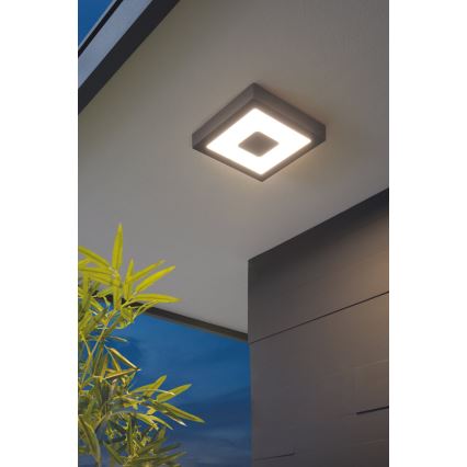 Eglo - LED Plafón exterior LED/16,5W/230V IP44