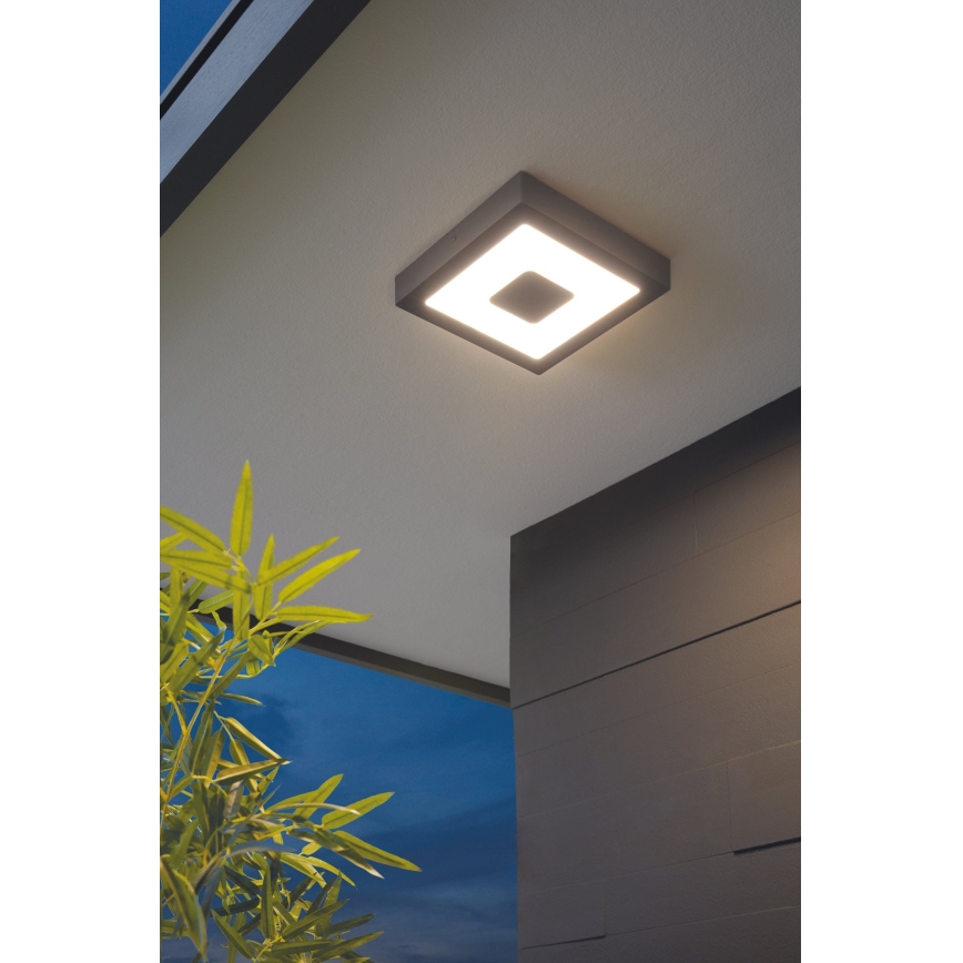 Eglo - LED Plafón exterior LED/16,5W/230V IP44