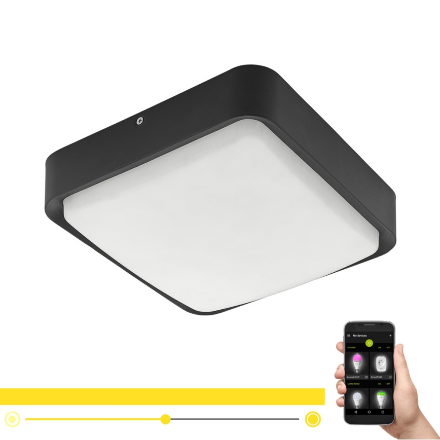 Eglo - Lámpara de techo exterior LED regulable LED/14,6W/230V