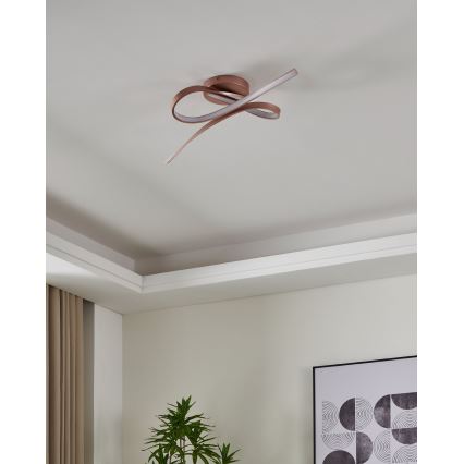 Eglo - LED Lámpara de techo 2xLED/11W/230V