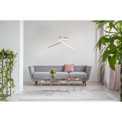 Eglo 97362 - Lámpara LED colgante PALOZZA 2xLED/11W/230V