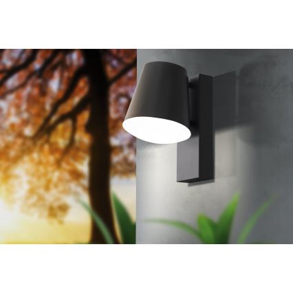 Eglo - Lámpara de pared exterior LED regulable CALDIERO-C 1xE27/9W/230V IP44